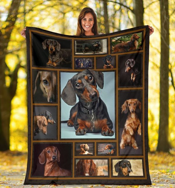 3d Dachshund For Dog Lovers Fleece Blanket